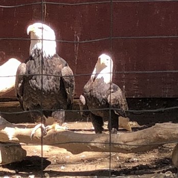 Wildlife Learning Center - Zoos Near Me - Sylmar, California