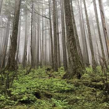 Glacier Gardens Rainforest Adventure - Botanical Gardens Near Me - Juneau, Alaska
