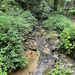 Reedy Branch Falls Trailhead