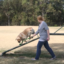 Elanora Park Dog Off Leash Area