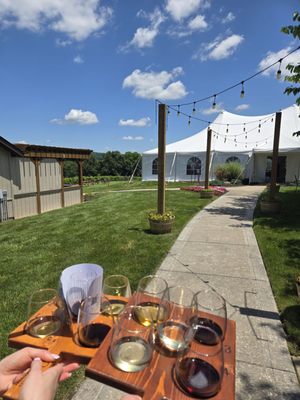 Noboleis Vineyards by null