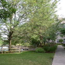 Willow Falls Senior Living
