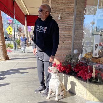 Urban Dog House - Dexter (UDH owner) using Loki as an example to the rest of the pack on how to do deal with stimulus. - Pet Training Near Me - Milpitas, California Urban Dog House - Dexter (UDH owner) using Loki as an example to the rest of the pack on how to do deal with stimulus. - Pet Training Near Me - Milpitas, California
