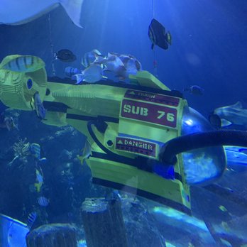 Sea Life Aquarium - Underwater Lego Display - Aquariums Near Me - Carlsbad, California Sea Life Aquarium - Underwater Lego Display - Aquariums Near Me - Carlsbad, California