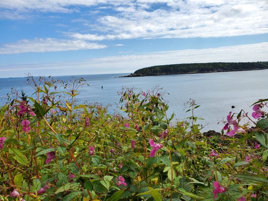 Owls Head State Park by null