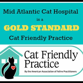 Mid Atlantic Cat Hospital - Veterinarians Near Me - Queenstown, Maryland Mid Atlantic Cat Hospital - Veterinarians Near Me - Queenstown, Maryland