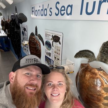 The Turtle Hospital - The shells - Veterinarians Near Me - Marathon, Florida The Turtle Hospital - The shells - Veterinarians Near Me - Marathon, Florida