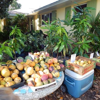 Truly Tropical - a variety of fruits and vegetables - Fruits & Veggies Near Me - Delray Beach, Florida Truly Tropical - a variety of fruits and vegetables - Fruits & Veggies Near Me - Delray Beach, Florida