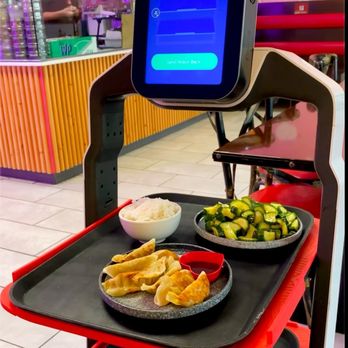 Serious Dumplings - Boca Raton - Food delivery robot - Dim Sum Near Me - Boca Raton, Florida Serious Dumplings - Boca Raton - Food delivery robot - Dim Sum Near Me - Boca Raton, Florida