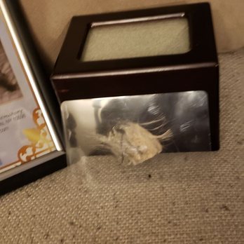 Rainbow Bridge Pet Crematory - Pet Cremation Services Near Me - Yorktown Heights, New York Rainbow Bridge Pet Crematory - Pet Cremation Services Near Me - Yorktown Heights, New York