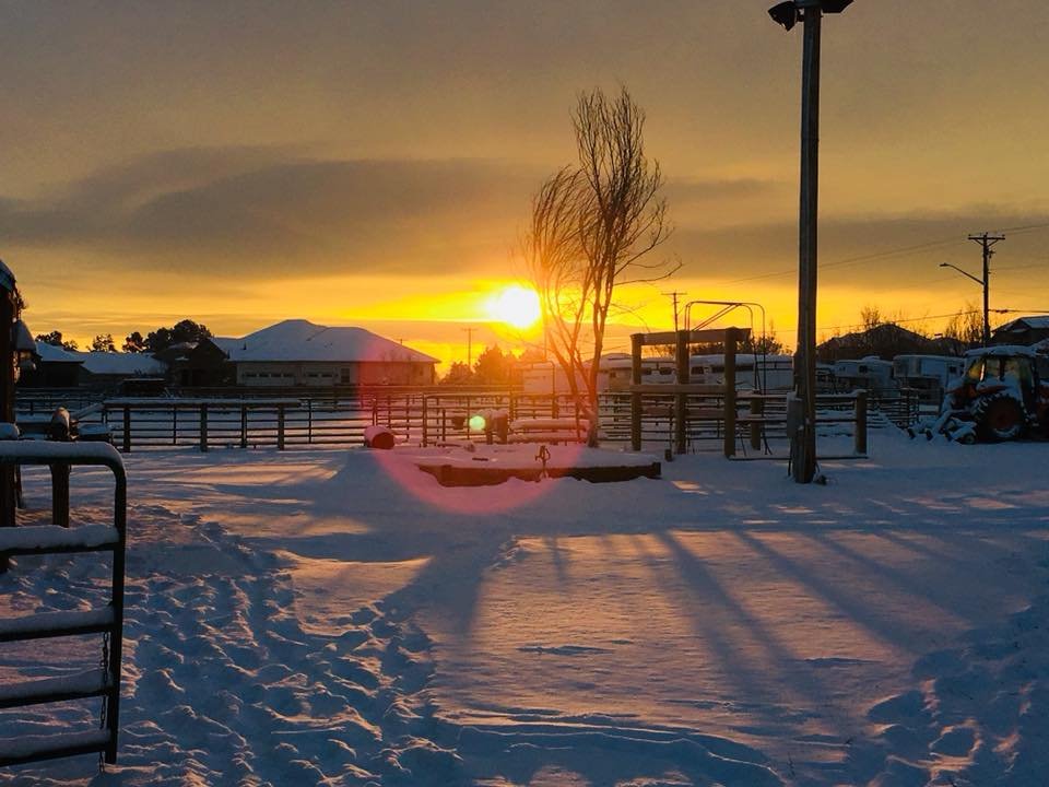 Iron Gait Ranch - equestrian in Arvada, CO