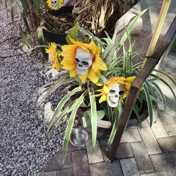 Half Step - Death Flowers? Skullflowers? - Cocktail Bars Near Me - Austin, Texas