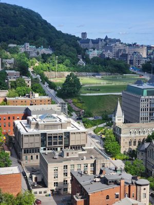 Hotel Omni Mont-Royal by null