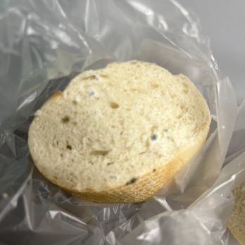 Corner Bakery Cafe - Moldy bread - Salad Near Me - Pasadena, California Corner Bakery Cafe - Moldy bread - Salad Near Me - Pasadena, California