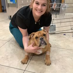 K+K Veterinary Services - Karing for Kreatures - Beth taking pictures at 2am of my babu to let me know she's recovering from her procedure!