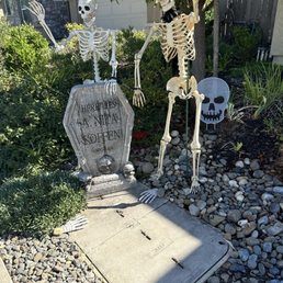Skeletons and Grave Head Stone! Skeletons and Grave Head Stone!