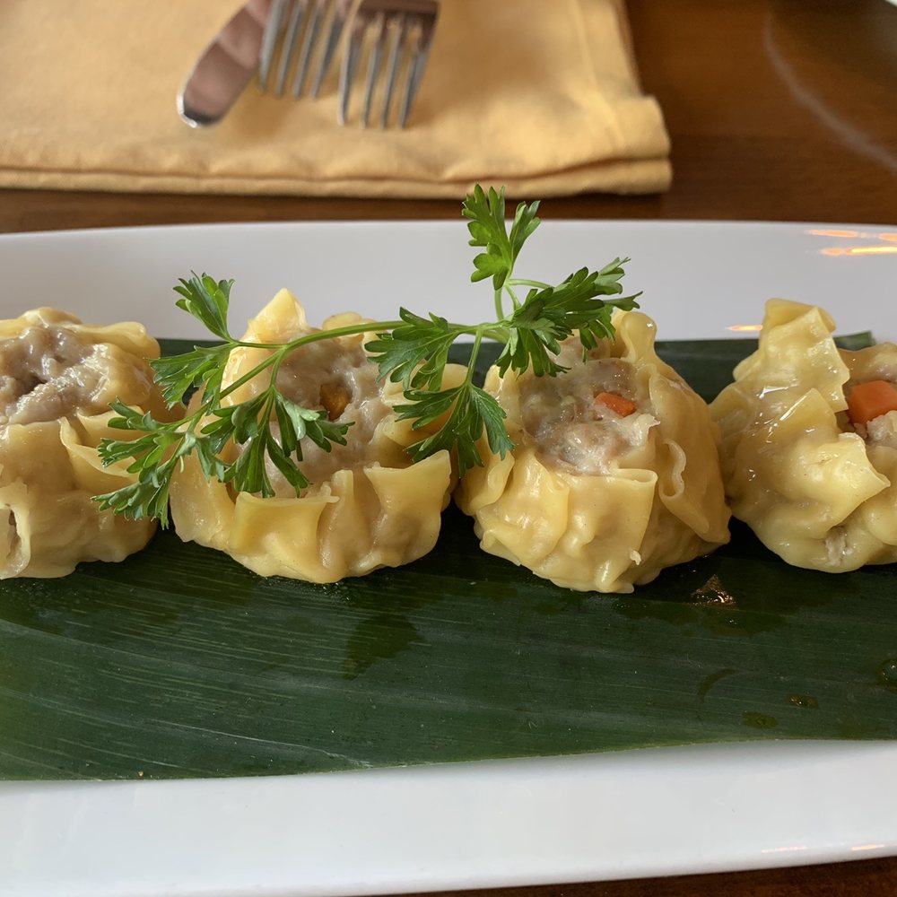 Rice Factory - Chicken Dumplings Lunch - Thai Near Me - Milltown, New Jersey