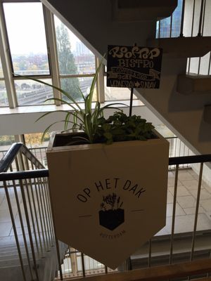 Teds Rotterdam - Op het Dak - All Day Food & Drinks by null