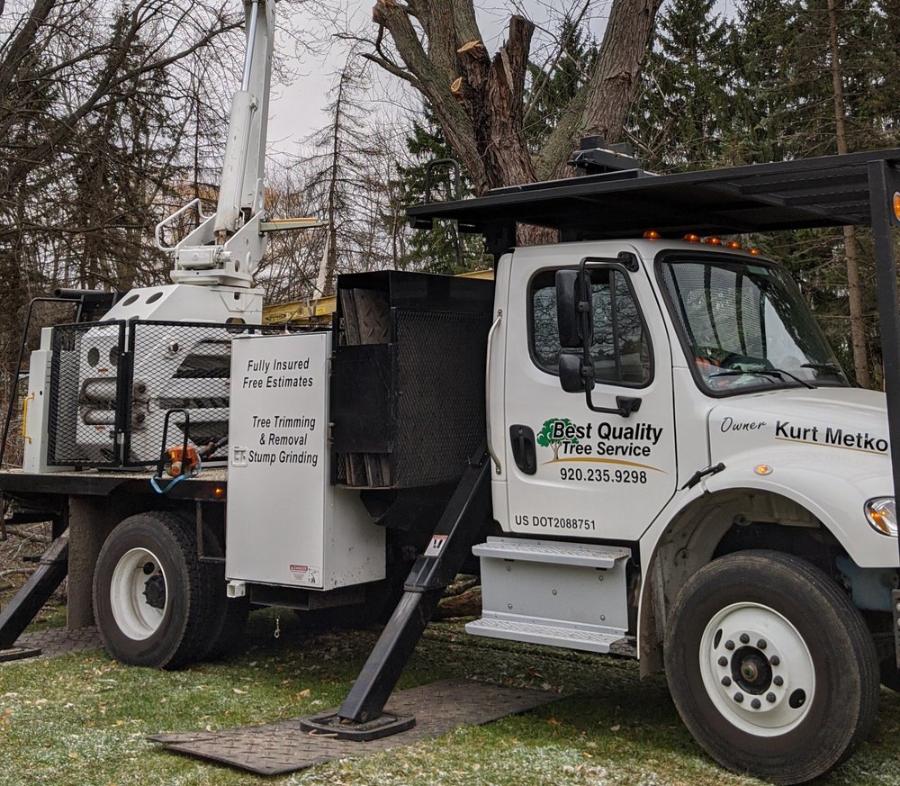 BEST QUALITY TREE SERVICE Updated May 2024 3945 Summerview Dr
