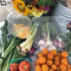 Yard to Market Co-op