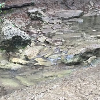 Emma Long Park Turkey Creek Trail - Hiking Near Me - Austin, Texas
