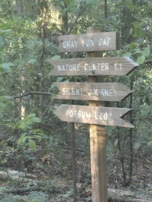 Ruffner Mountain by null