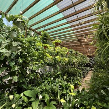 Mickey Hargitay Plants - Heaven - Nurseries & Gardening Near Me - Los Angeles, California Mickey Hargitay Plants - Heaven - Nurseries & Gardening Near Me - Los Angeles, California