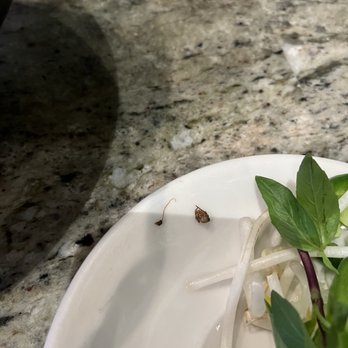 La Mint - Vietnamese Kitchen - Cockroach - Vietnamese Near Me - Reno, Nevada La Mint - Vietnamese Kitchen - Cockroach - Vietnamese Near Me - Reno, Nevada