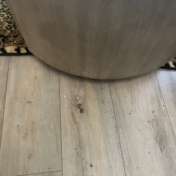 Premium Cleaning Service - They did a nice surface cleaning but def not a deep cleaning! Found this when I moved the small coffee table (that's on wheels) - Home Cleaning Near Me - Santa Ana, California Premium Cleaning Service - They did a nice surface cleaning but def not a deep cleaning! Found this when I moved the small coffee table (that's on wheels) - Home Cleaning Near Me - Santa Ana, California