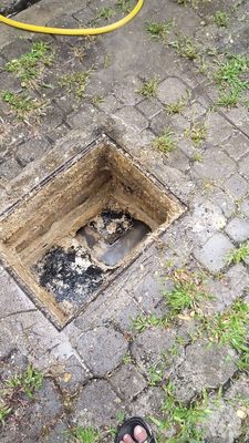 Zoo Negara Malaysia by null