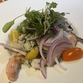 Byblos - Ceviche - Mediterranean Near Me - Tampa, Florida