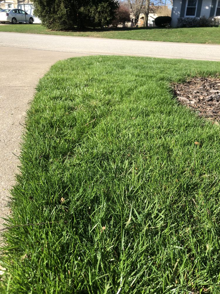 PERFALAWN ERIE Updated April 2024 16 Reviews 1863 E 12th St