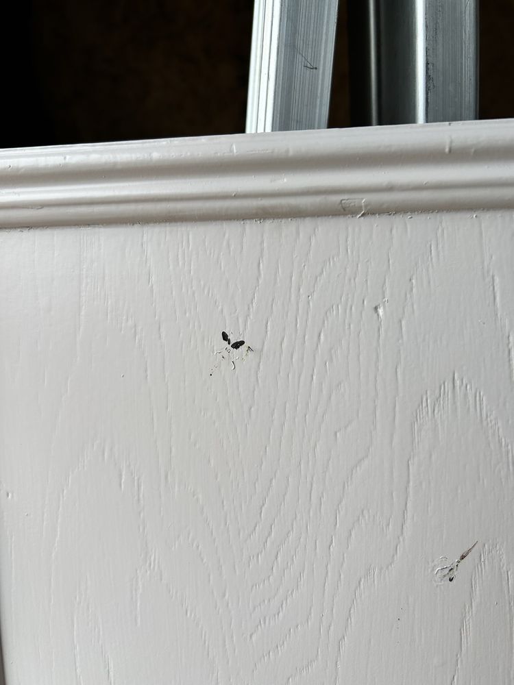 Slide of Emerald Roofing & Remodeling Services