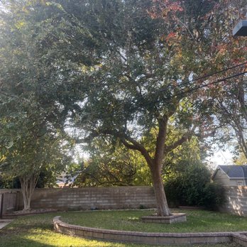 Original Mejia Landscaping - Landscaping Near Me - Corona, California Original Mejia Landscaping - Landscaping Near Me - Corona, California
