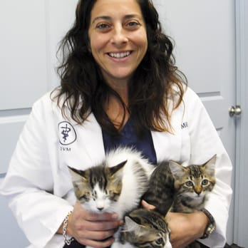 Surf Paws Animal Hospital - Dr M with kittens. She has 2 elder canines and 1 diabetic feline - Veterinarians Near Me - Honolulu, Hawaii Surf Paws Animal Hospital - Dr M with kittens. She has 2 elder canines and 1 diabetic feline - Veterinarians Near Me - Honolulu, Hawaii