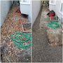 Photo of Orozco Gardening Service