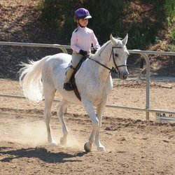 Neophyte Farms