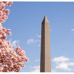 Washington Monument