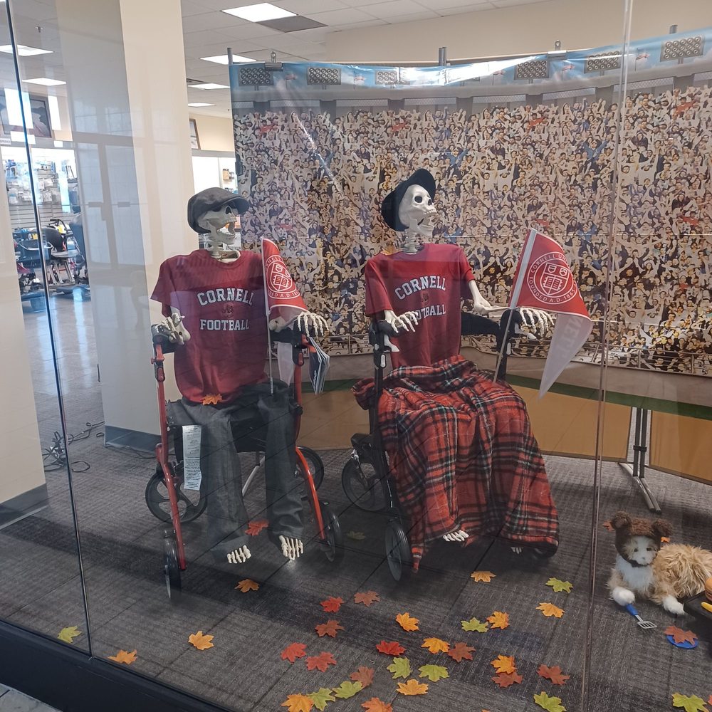 TOP 10 BEST Crutches near Port Dickinson, NY - Updated 2026 - Yelp