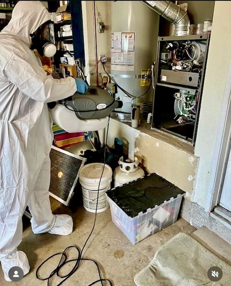 Cali Mold Removal  - mold inspector in Camarillo, CA