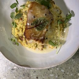 Halibut Halibut