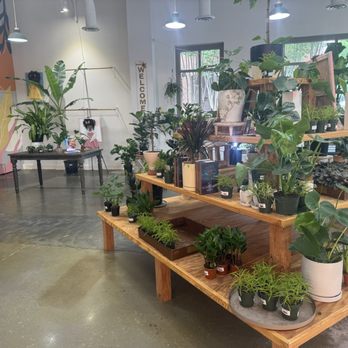 A Pot To Plant In - Inside - Nurseries & Gardening Near Me - Smyrna, Georgia