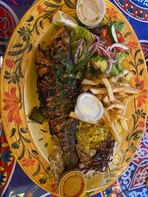 Cilantro Mediterranean Cuisine by null