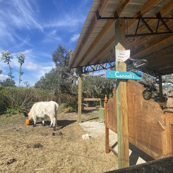 Sweetfields Farm - Farmers Market Near Me - Masaryktown, Florida