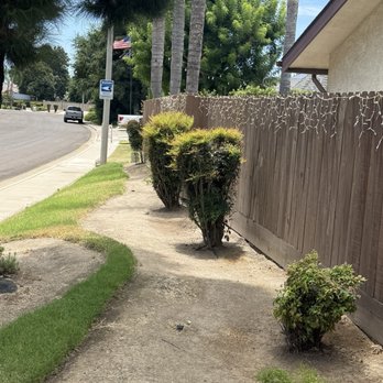 Don Jose Lawn Service - Lawn Services Near Me Don Jose Lawn Service - Lawn Services Near Me