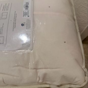 Rancho Tierra Apartment Homes - Dead bugs common everytime pest control comes out - Apartments Near Me - Tustin, California Rancho Tierra Apartment Homes - Dead bugs common everytime pest control comes out - Apartments Near Me - Tustin, California
