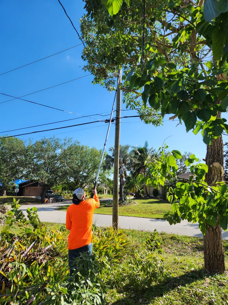 Slide of CHDO by Sunrise City