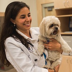 West Loop Veterinary Care