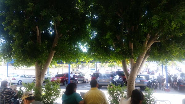 Cruisers Car Wash by null