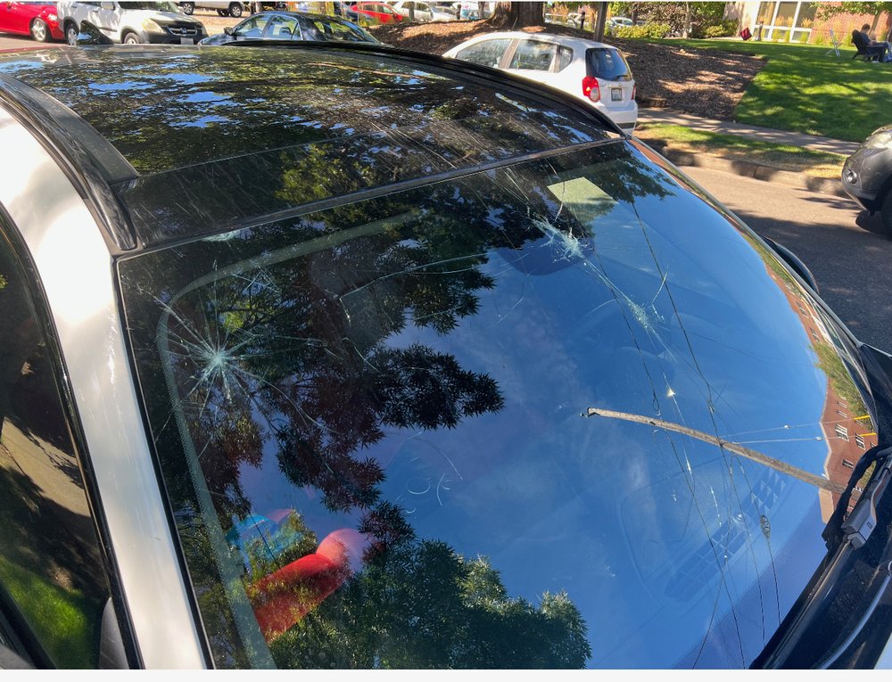 MONTWAY AUTO TRANSPORT Updated August 2024 10 Reviews 9450 SW